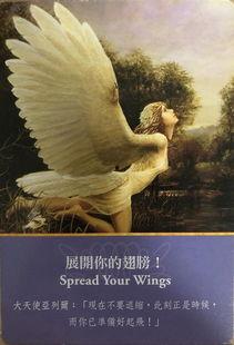 勇敢的翅膀,翱翔在梦想的天空